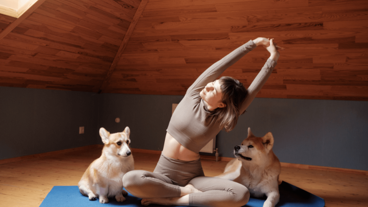 培養健康生活並不難!保健品牌 GA黃金甲「養生多一點」的觀念,懶人、忙碌上班族也適用。(圖/Canva提供) 培養健康生活並不難!保健品牌 GA黃金甲「養生多一點」的觀念,懶人、忙碌上班族也適用。(圖/Canva提供)