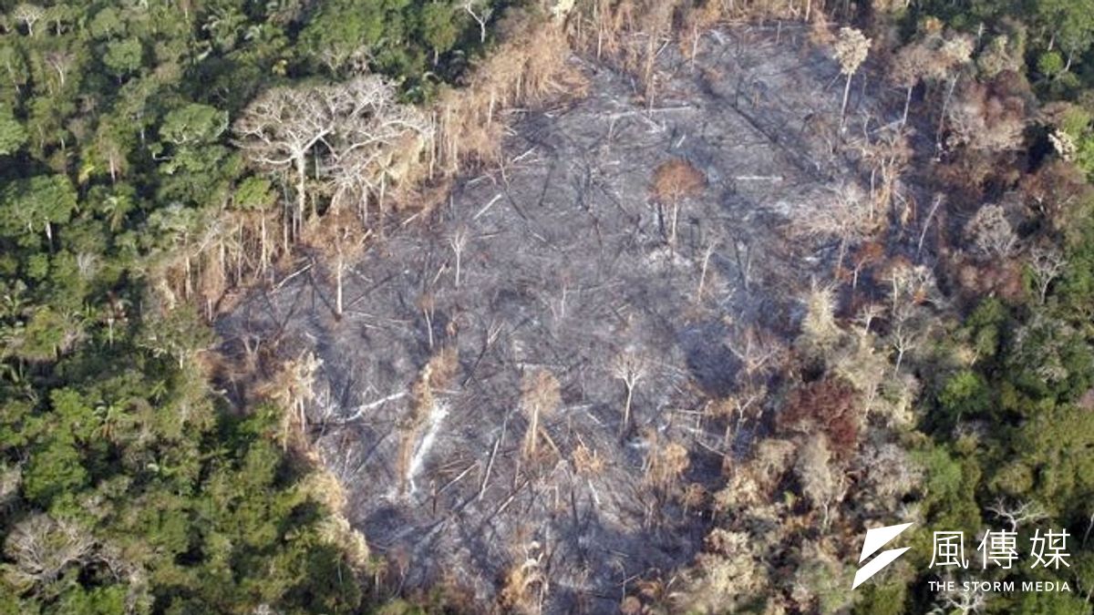 慘遭除伐的亞馬遜雨林(取自WWF) 慘遭除伐的亞馬遜雨林(取自WWF)