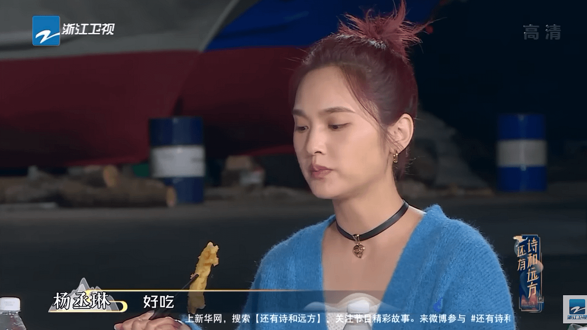 楊丞琳的海鮮說引發網路熱議。(圖/擷取自YouTube中國浙江衛視官方頻道) 楊丞琳的海鮮說引發網路熱議。(圖/擷取自YouTube中國浙江衛視官方頻道)