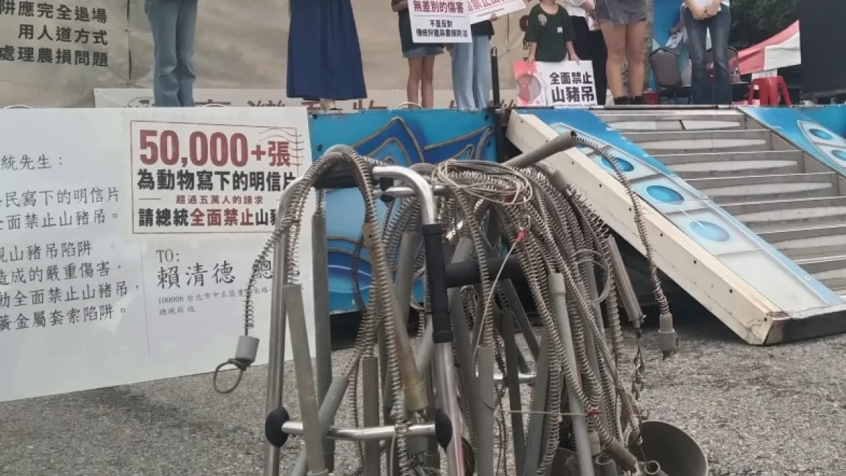 動保團體在凱道集會,要求全面禁止山豬吊,圖為從山林收集的山豬吊,它便宜、隨意放置,對動物造成巨大痛苦。(圖/作者提供)