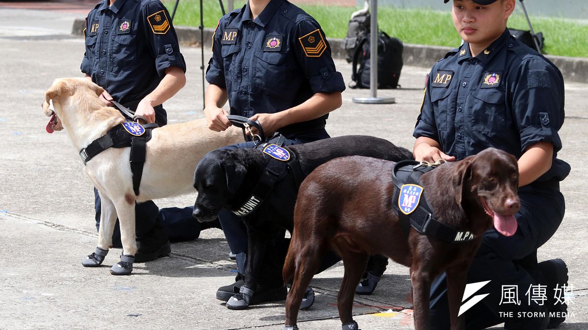 憲指部20日上午公開展示緝毒犬嗅聞毒品作業實況,無論針對部隊常見的官兵本身,還是生活起居空間,緝毒犬都能讓藏匿其中的毒品無所遁形。(蘇仲泓攝) 憲指部20日上午公開展示緝毒犬嗅聞毒品作業實況,無論針對部隊常見的官兵本身,還是生活起居空間,緝毒犬都能讓藏匿其中的毒品無所遁形。(蘇仲泓攝)