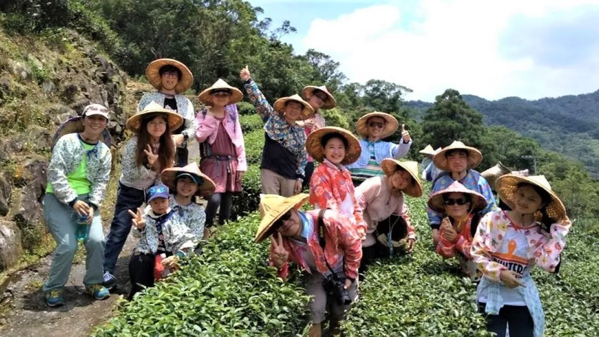 「藍鵲茶採茶體驗與生態守護」帶領大家來到坪林茶園,體驗古法採茶、製茶。(圖/新北市農業局提供)