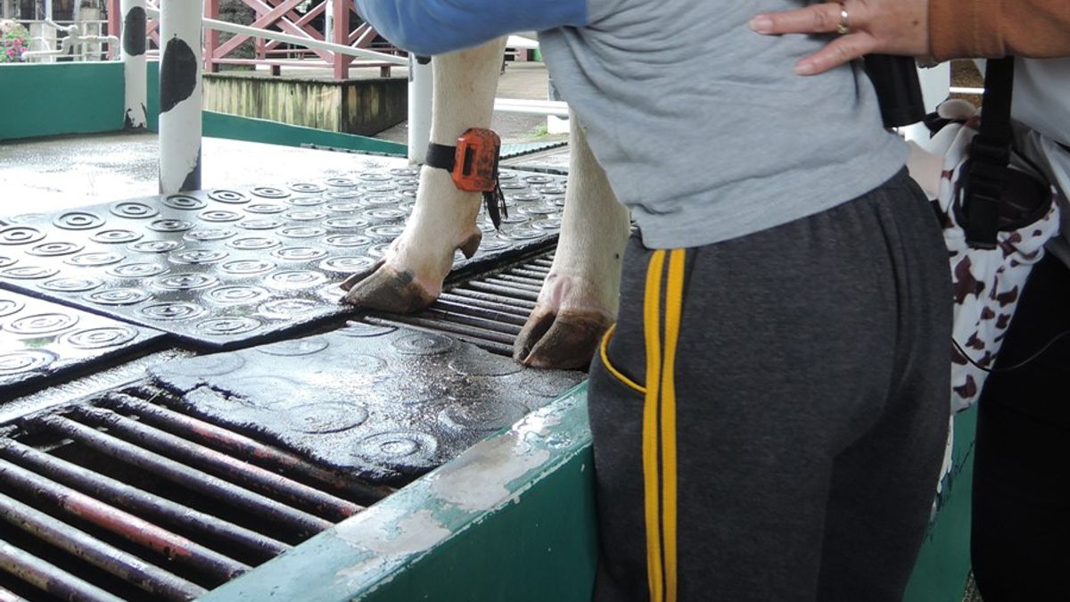 彰化家扶啟力計畫 帶孩童遠離3C產品走向戶外 彰化家扶啟力計畫 帶孩童遠離3C產品走向戶外