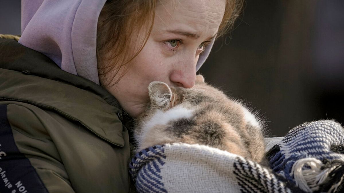 2022年3月11日,帶著寵物貓從伊爾平逃往基輔的烏克蘭難民。(美聯社) 2022年3月11日,帶著寵物貓從伊爾平逃往基輔的烏克蘭難民。(美聯社)