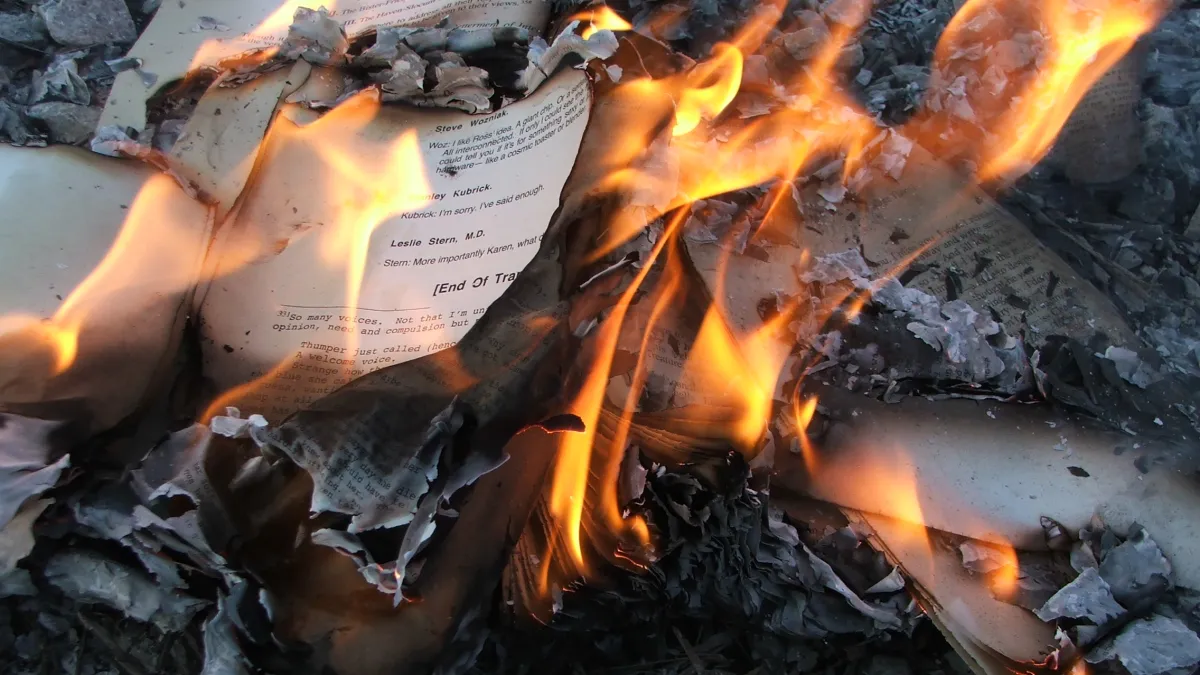 作者指出,在焚書坑儒的歷史中,焚書令不只是要燒書,更重要的是要以這種極端誇張的手法來統一思想和知識。圖為示意圖。(LearningLark@Wikipedia / CC BY 2.0)