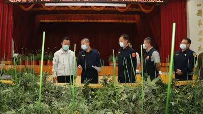 嘉義縣警局破獲全台最大宗大麻案,查扣大麻擺滿警局禮堂。(圖/嘉義縣政府警察局提供)