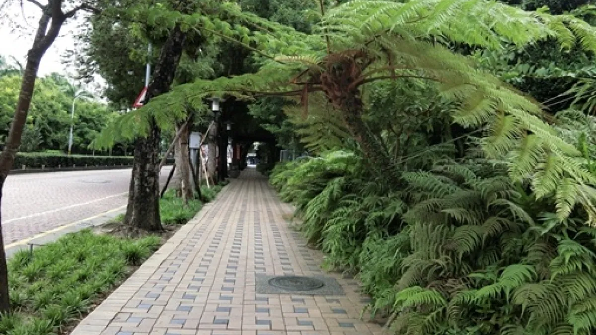 科博館植栽屢遭折損 館方籲民眾珍惜綠樹資源