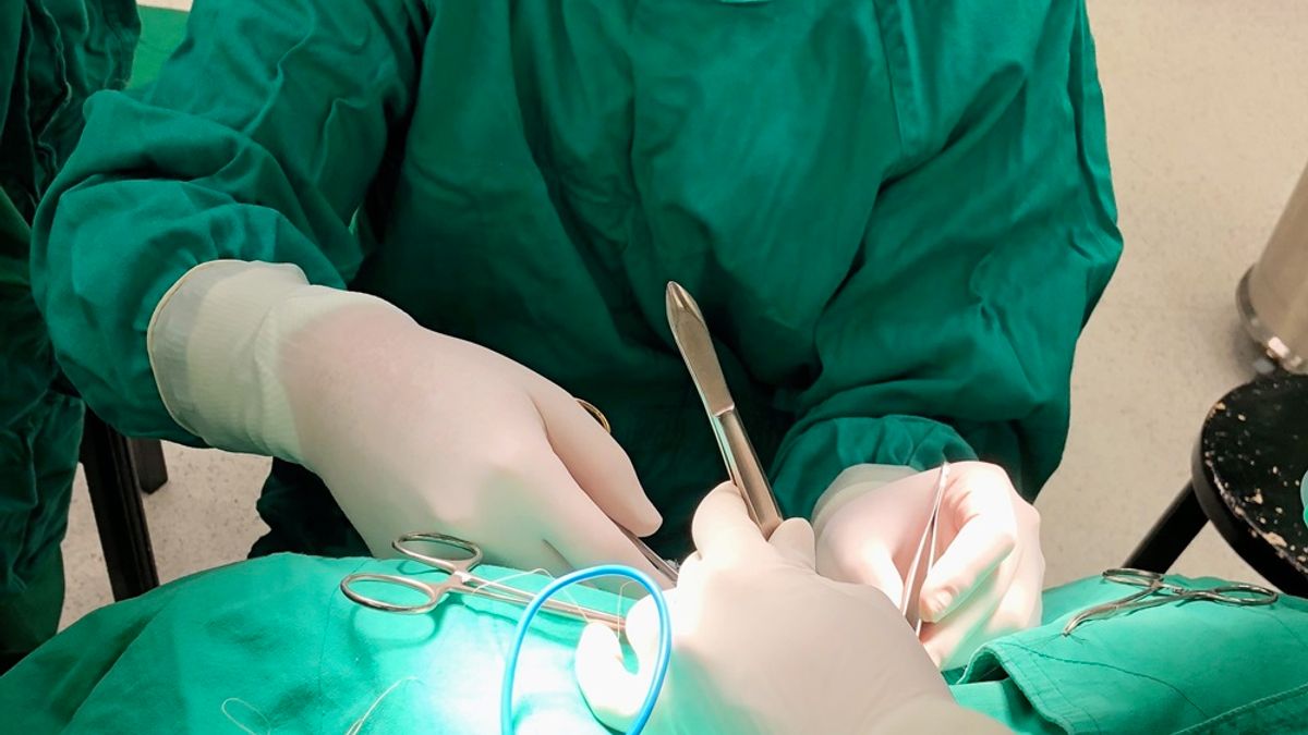 作者指出,反觀台灣民眾,只要一有小病,常常就往大醫院跑。(資料照,圖/新竹馬偕醫院提供) 作者指出,反觀台灣民眾,只要一有小病,常常就往大醫院跑。(資料照,圖/新竹馬偕醫院提供)