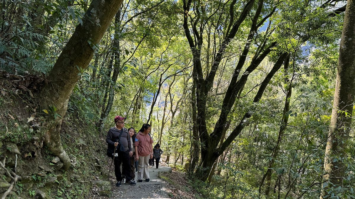 奧萬大森林遊樂區暑假期間推出森林療癒團-奧萬大林間步道。(圖/奧萬大森林遊樂區) 奧萬大森林遊樂區暑假期間推出森林療癒團-奧萬大林間步道。(圖/奧萬大森林遊樂區)
