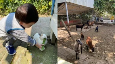 推薦四間位於台中的親子農場,選擇最適合自己孩子的農場,享受靜謐的自然時光吧!(圖/七分之二的探索推薦)
