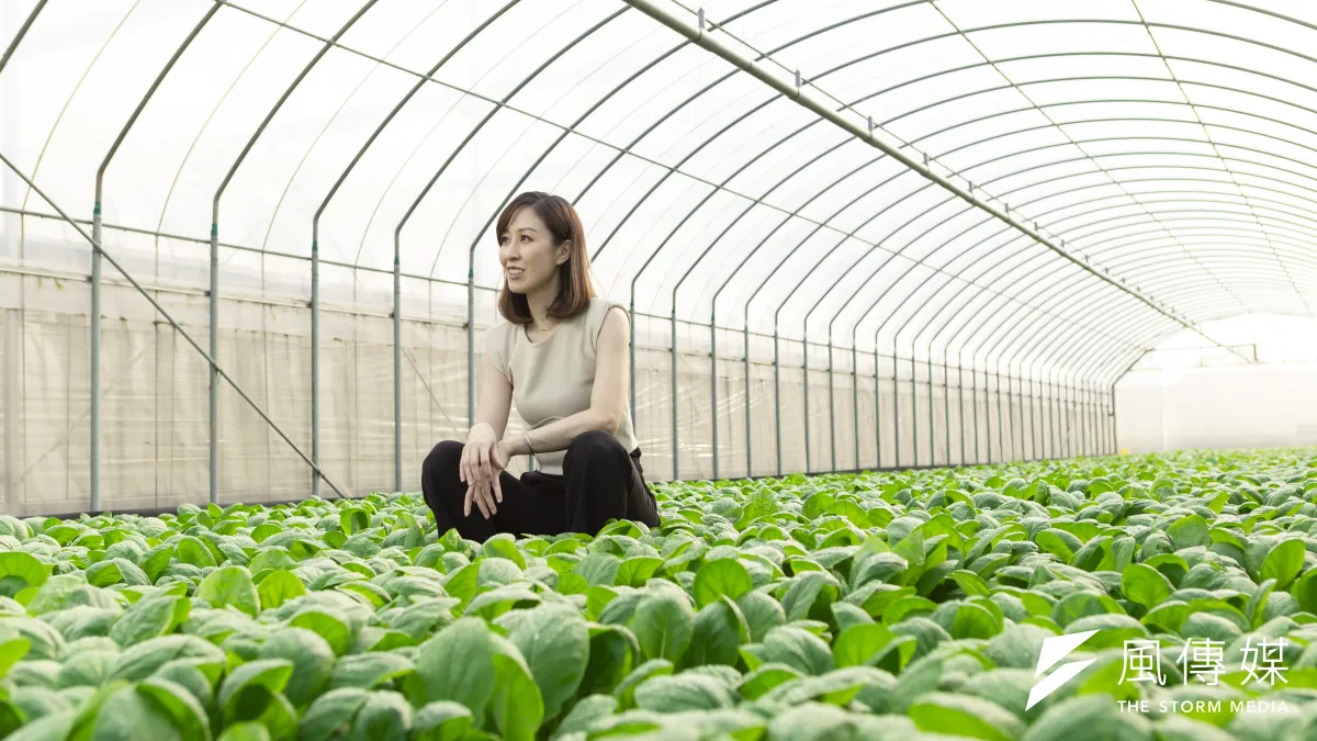桃城蒔菜農業生產合作社是北台灣蔬菜供應的重要來源,也是尤優佳與丈夫返鄉從農後所發展的新農業。(攝影/吳宙棋)