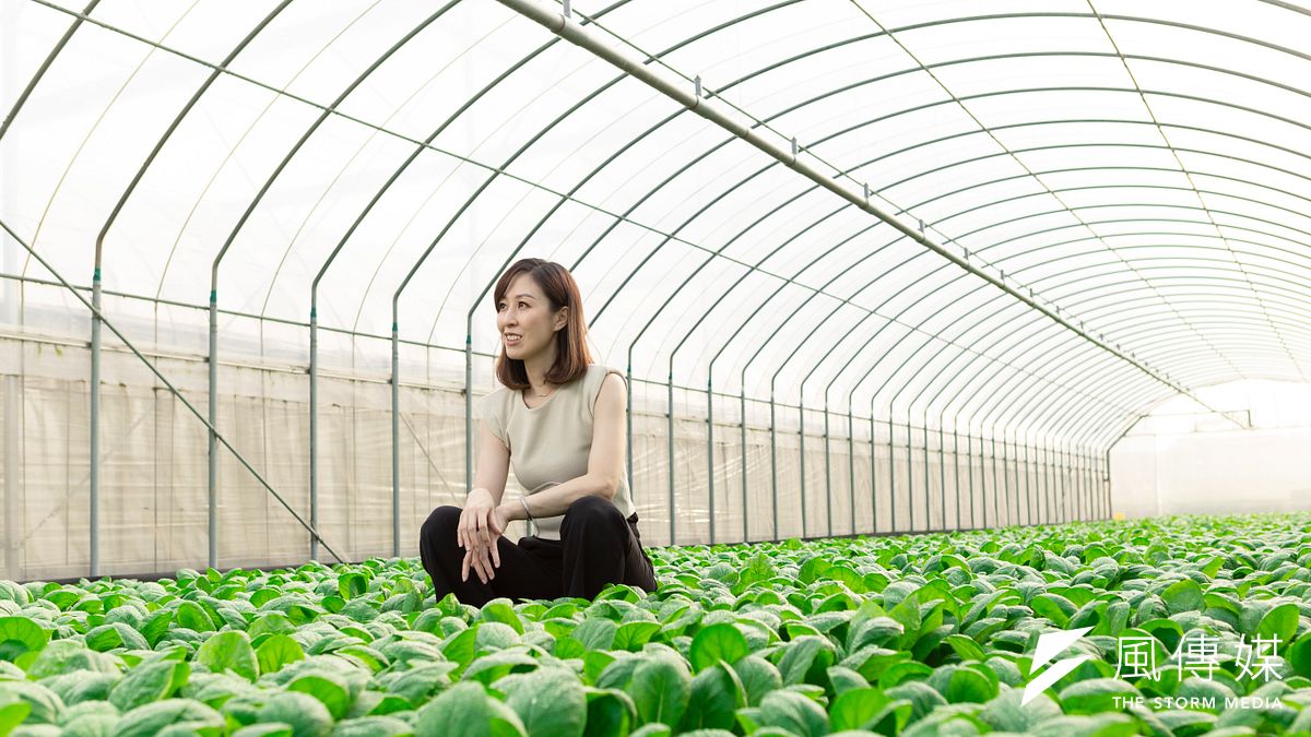 桃城蒔菜農業生產合作社是北台灣蔬菜供應的重要來源,也是尤優佳與丈夫返鄉從農後所發展的新農業。(攝影/吳宙棋) 桃城蒔菜農業生產合作社是北台灣蔬菜供應的重要來源,也是尤優佳與丈夫返鄉從農後所發展的新農業。(攝影/吳宙棋)