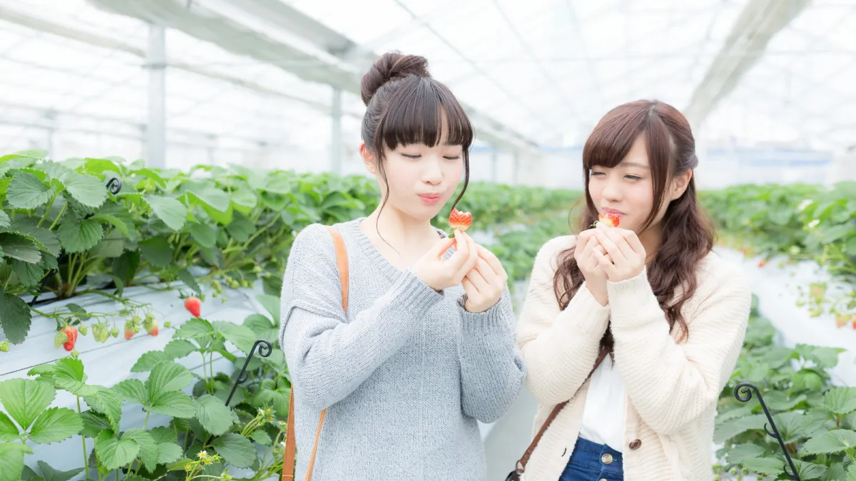 我們該跟陌生人說話嗎?(圖/すしぱく@pakutaso)