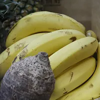 兩岸雙邊貿易風險不斷升高,台灣多項農漁產品遭到中國大陸暫停進口。(資料照,柯承惠攝) 兩岸雙邊貿易風險不斷升高,台灣多項農漁產品遭到中國大陸暫停進口。(資料照,柯承惠攝)