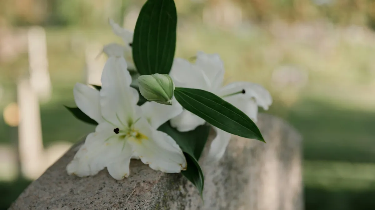 掃墓祭祖總是有許多需要注意的傳統習俗與眉眉角角,除此之外在這個特殊的日子裡,其實也有不少忌諱需要格外小心。 掃墓祭祖總是有許多需要注意的傳統習俗與眉眉角角,除此之外在這個特殊的日子裡,其實也有不少忌諱需要格外小心。