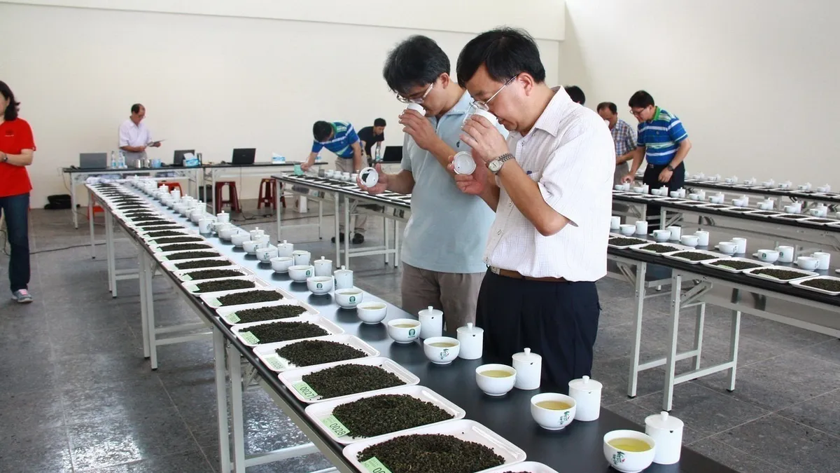 南投縣長特等茶賽來囉 7月5、6日受理報名