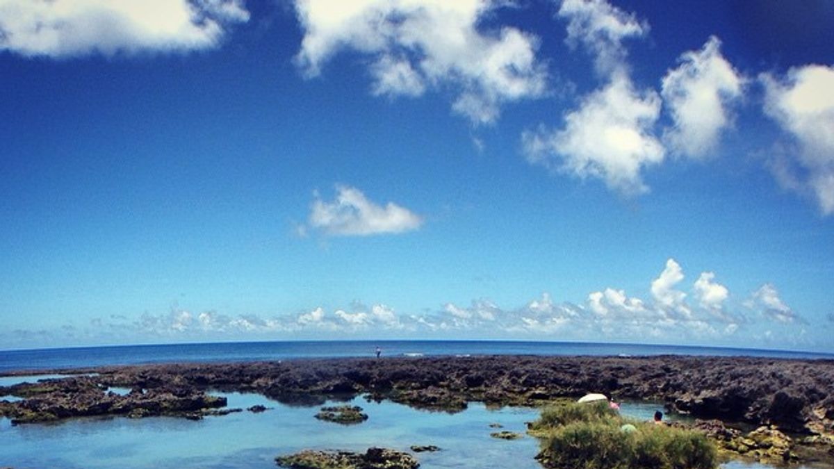 夏天除了去海灘玩水外,也可以去體驗冰涼冷泉。(圖/取自Blowing Puffer Fish@flickr) 夏天除了去海灘玩水外,也可以去體驗冰涼冷泉。(圖/取自Blowing Puffer Fish@flickr)