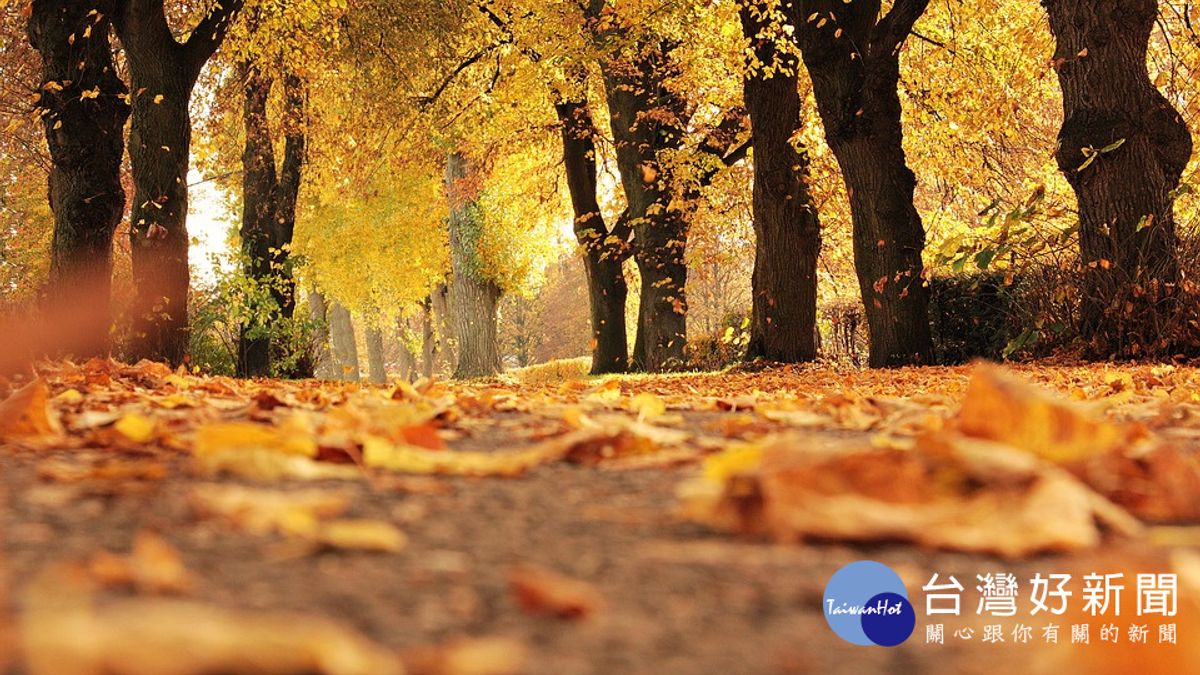 秋季氣溫偏暖 氣象局估1至2個颱風侵台 秋季氣溫偏暖 氣象局估1至2個颱風侵台