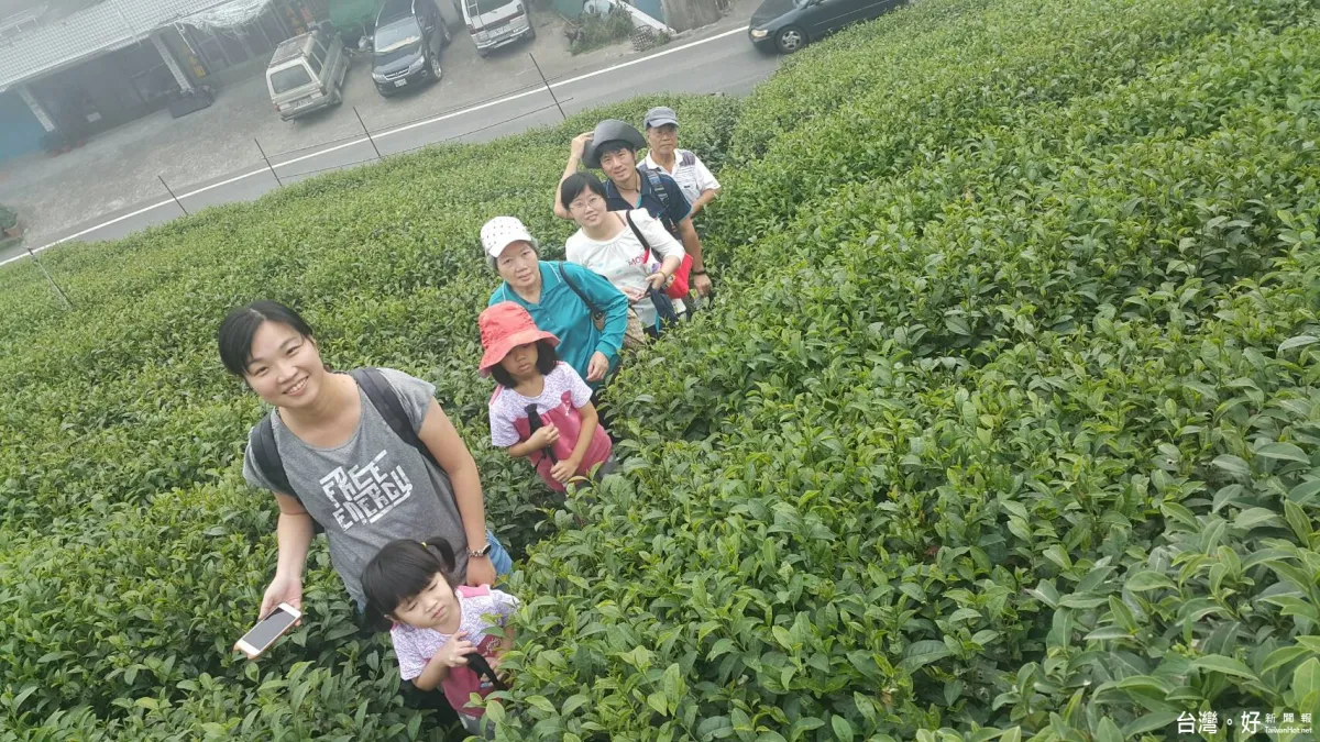 阿里山「石棹秋日茶旅」落幕 25場次口碑超乎預期