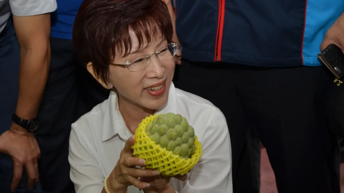 釋迦農表示擔心民進黨執政,釋迦銷往大陸會有問題,國民黨主席洪秀柱承諾「國民黨會幫忙。」(洪秀柱辦公室提供)