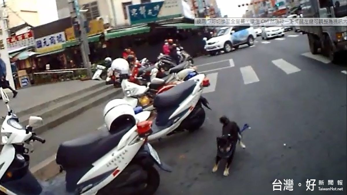 聖火典禮忽見柴犬亂衝 警幫飼主追回解危機 聖火典禮忽見柴犬亂衝 警幫飼主追回解危機