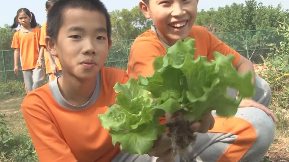食農教育國小紮根 山羊排遺作肥料
