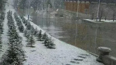 10日,北京市降下瑞雪。(取自微博)