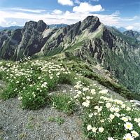 2024年1月から12月までの台湾国立公園人気ランキングトップ3は陽明公園、壽山エリア、台八号線沿線景観エリア。(画像/玉山国立公園公式サイトより) 2024年1月から12月までの台湾国立公園人気ランキングトップ3は陽明公園、壽山エリア、台八号線沿線景観エリア。(画像/玉山国立公園公式サイトより)