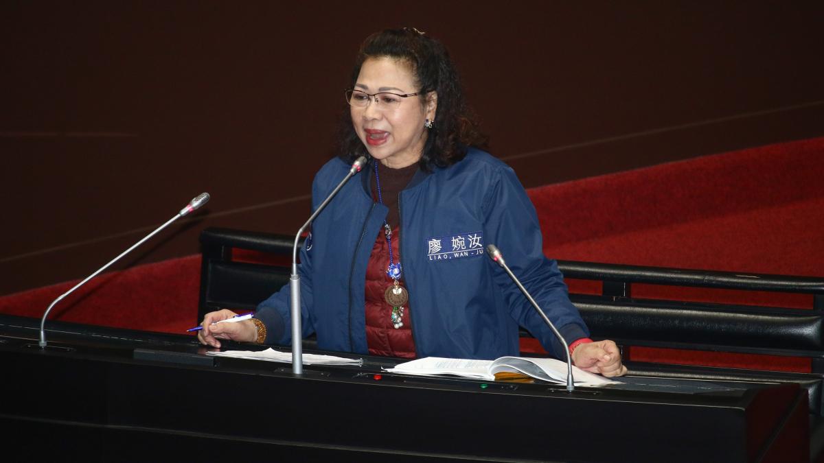 廖婉汝嗆蔣萬安「當總統敢廢監院?」吳子嘉轟:失意政客先回家檢討自己