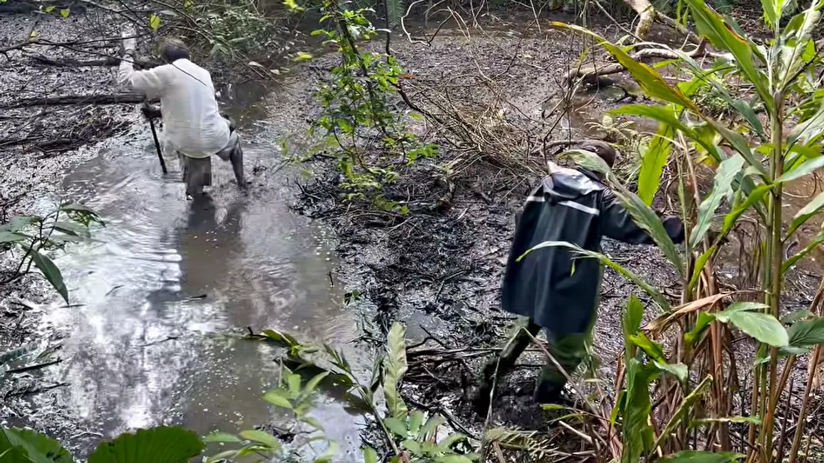 林葉亭父親失蹤11天陳屍於水池被尋獲,引發民眾關注失智長者走失議題。(圖/翻攝臉書公開社團/全國失智失蹤人口搜救) 林葉亭父親失蹤11天陳屍於水池被尋獲,引發民眾關注失智長者走失議題。(圖/翻攝臉書公開社團/全國失智失蹤人口搜救)