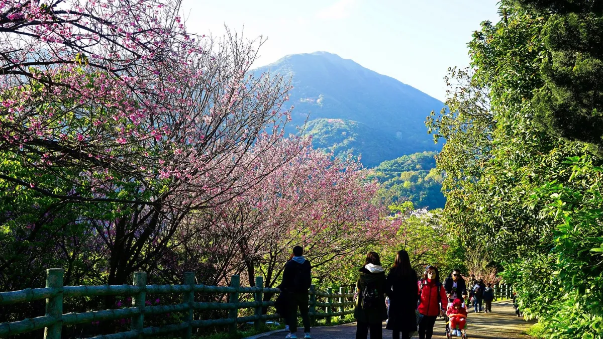 北市觀傳局與北市旅館合作推出品牌活動,邀請民眾利用長假遊台北享好康。(圖/臺北市政府觀傳局提供)