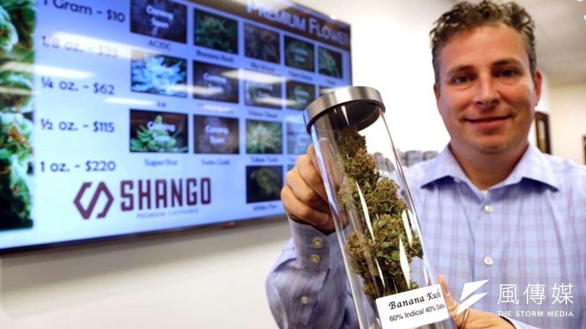 奧勒岡州通過大麻合法化,支持者喜上眉梢。(美聯社) 奧勒岡州通過大麻合法化,支持者喜上眉梢。(美聯社)