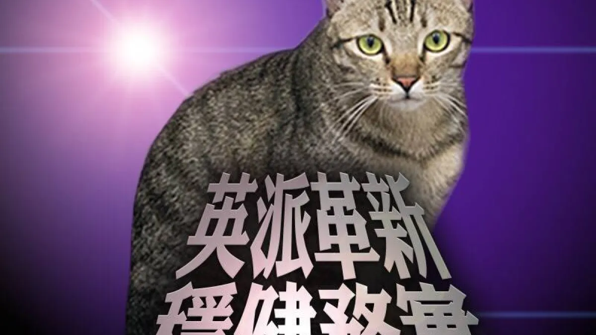 蔡英文臉書貼文談包容,卻以愛貓「蔡想想」當主角(蔡英文臉書)