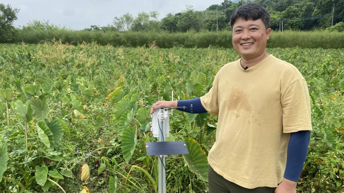 筆者認為,政府透過大撒幣來安撫農民,會讓台灣農業喪失競爭力。示意圖。(圖/高市農業局提供)