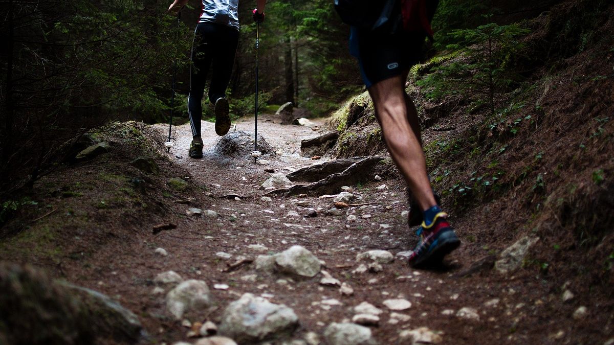 作者認為,如果只花費一半的精力完成,假使遇到任何問題,還有一半的餘裕可以處理後續事宜,再慢慢將它修補調整到最好的程度。(資料照,取自pixabay) 作者認為,如果只花費一半的精力完成,假使遇到任何問題,還有一半的餘裕可以處理後續事宜,再慢慢將它修補調整到最好的程度。(資料照,取自pixabay)