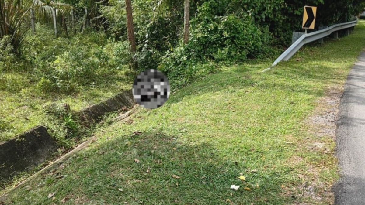 道路旁的垃圾桶驚見屍體!(圖/翻攝自中國報) 道路旁的垃圾桶驚見屍體!(圖/翻攝自中國報)