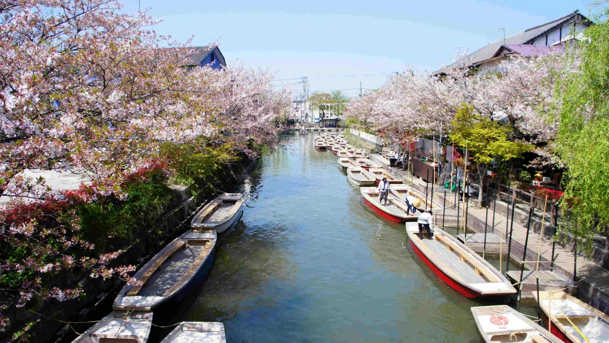隨著地圖測繪的技術進步,越來越多日本島嶼被標記出來。(圖/旅遊業者提供)