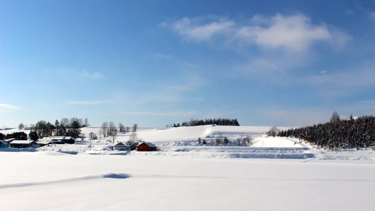 北海道的隆冬雪景,比夏季花海更讓人流連忘返。(圖/張維中攝影)