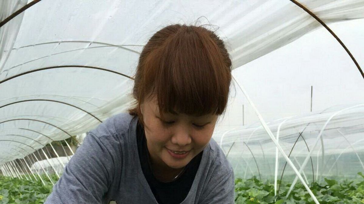 受惠中市青年加農計畫 全職媽媽受訓成專業農民 受惠中市青年加農計畫 全職媽媽受訓成專業農民