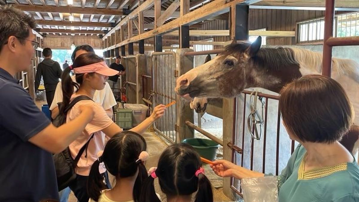 全台最具「馬力」的走春聖地 逛后里馬場賞櫻花、騎鐵馬迎新年