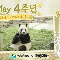 WePlay Korea's 4th Anniversary Celebration Kicks Off, Joining Hands with "Hello Panda-哈啰潘达" to Create Fu Bao Themed Space Decorations WePlay Korea's 4th Anniversary Celebration Kicks Off, Joining Hands with "Hello Panda-哈啰潘达" to Create Fu Bao Themed Space Decorations