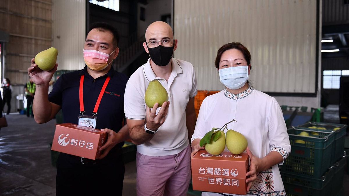 花蓮縣長徐榛蔚攜手臺灣女婿吳鳳,推廣花蓮文旦柚。(圖/花蓮縣農業處提供) 花蓮縣長徐榛蔚攜手臺灣女婿吳鳳,推廣花蓮文旦柚。(圖/花蓮縣農業處提供)