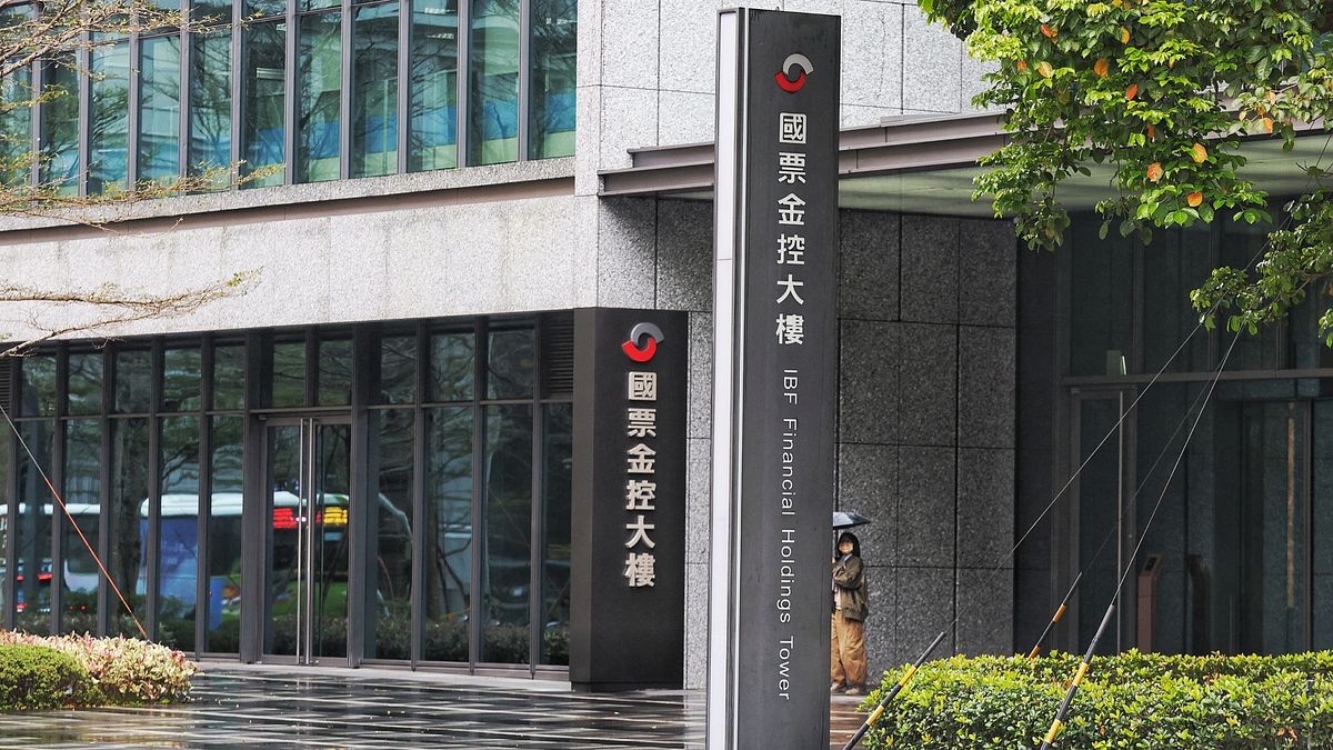 阮清華:政府主導國票金改選不是為了「公公併」,財委表示無法理解