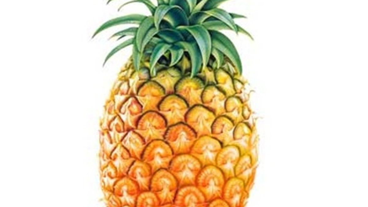 王筱淇建議,吃完粽子後,適當吃鳳梨、奇異果、木瓜等酵素多的飯後水果,掌握促進腸胃蠕動等6個小撇步,就能「聰明吃粽子,健康過端午」。(取自網路) 王筱淇建議,吃完粽子後,適當吃鳳梨、奇異果、木瓜等酵素多的飯後水果,掌握促進腸胃蠕動等6個小撇步,就能「聰明吃粽子,健康過端午」。(取自網路)