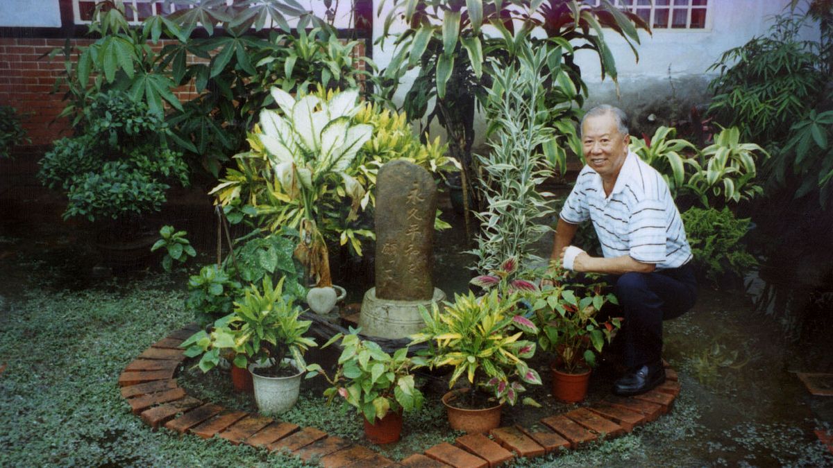 作者說,自己已逐漸懂得植物的寬大與美好,如何能補充並洗滌我日日殘缺損耗的心靈。(資料照,康豹攝、研之有物提供) 作者說,自己已逐漸懂得植物的寬大與美好,如何能補充並洗滌我日日殘缺損耗的心靈。(資料照,康豹攝、研之有物提供)