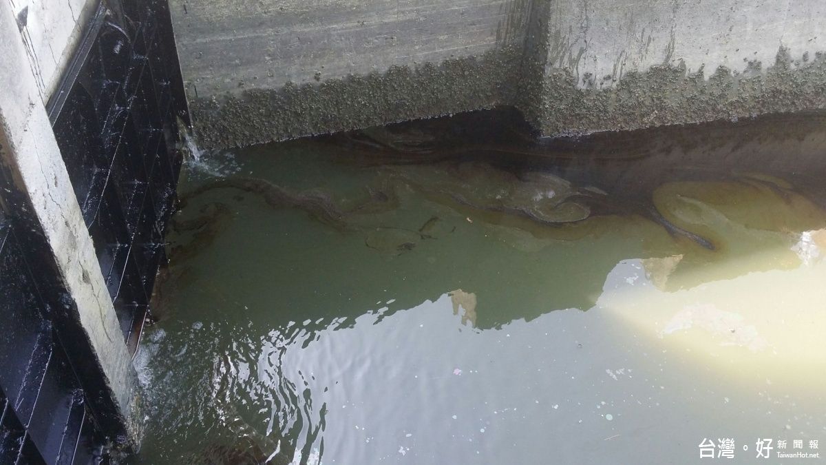 防鐵製水閘門被偷 南市噴漆挨批汙染水源及生態 防鐵製水閘門被偷 南市噴漆挨批汙染水源及生態