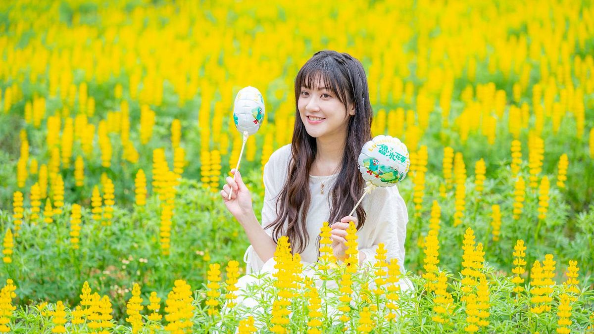 週末賞花別跑錯!龍潭魯冰花季僅到3/8,三大展區「最佳賞花點」一次看