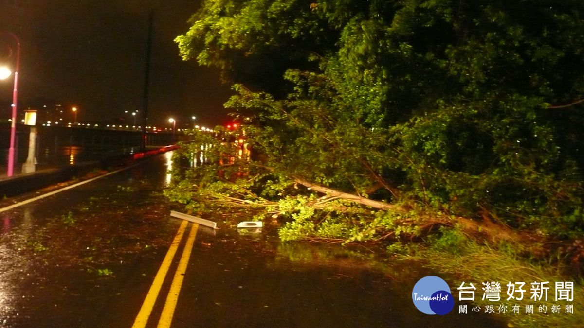 颱風來襲路樹倒塌壓毀車輛 霧峰警急救援 颱風來襲路樹倒塌壓毀車輛 霧峰警急救援