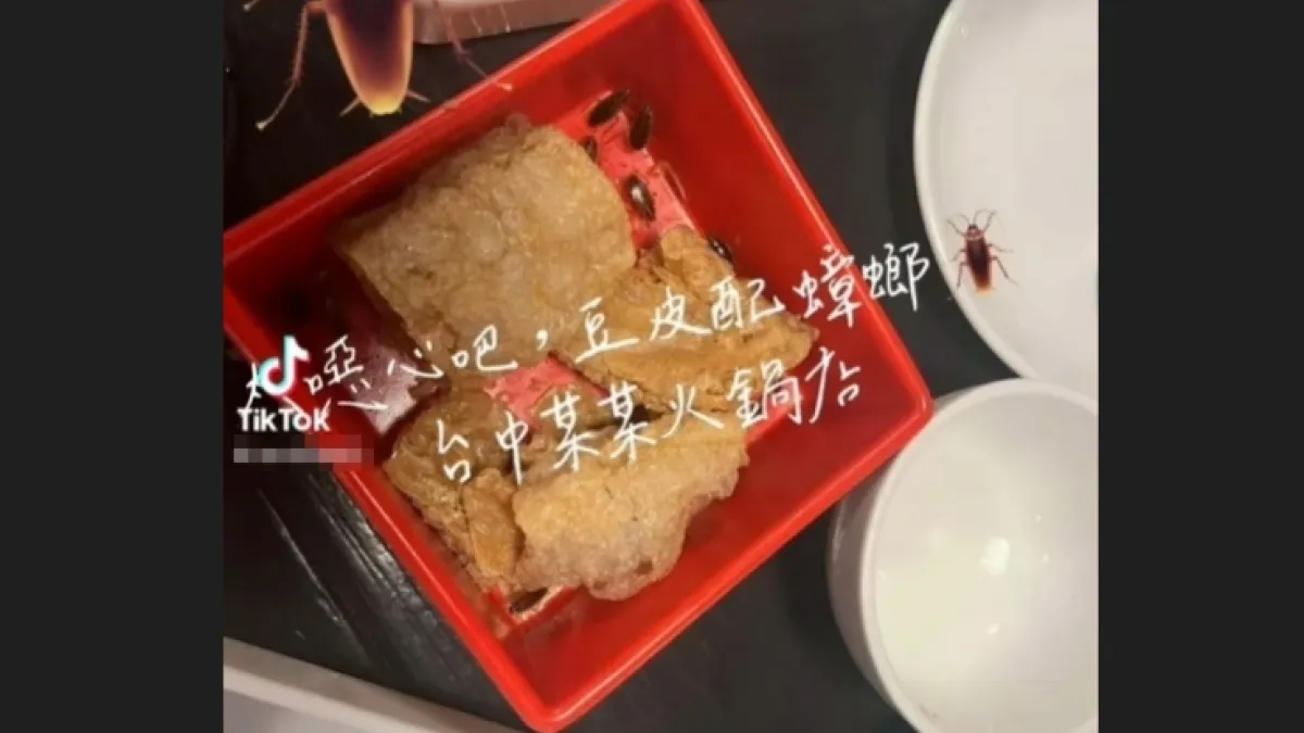 火鍋餐廳驚見蟑螂大軍!(圖/翻攝自FB/爆料公社二社)