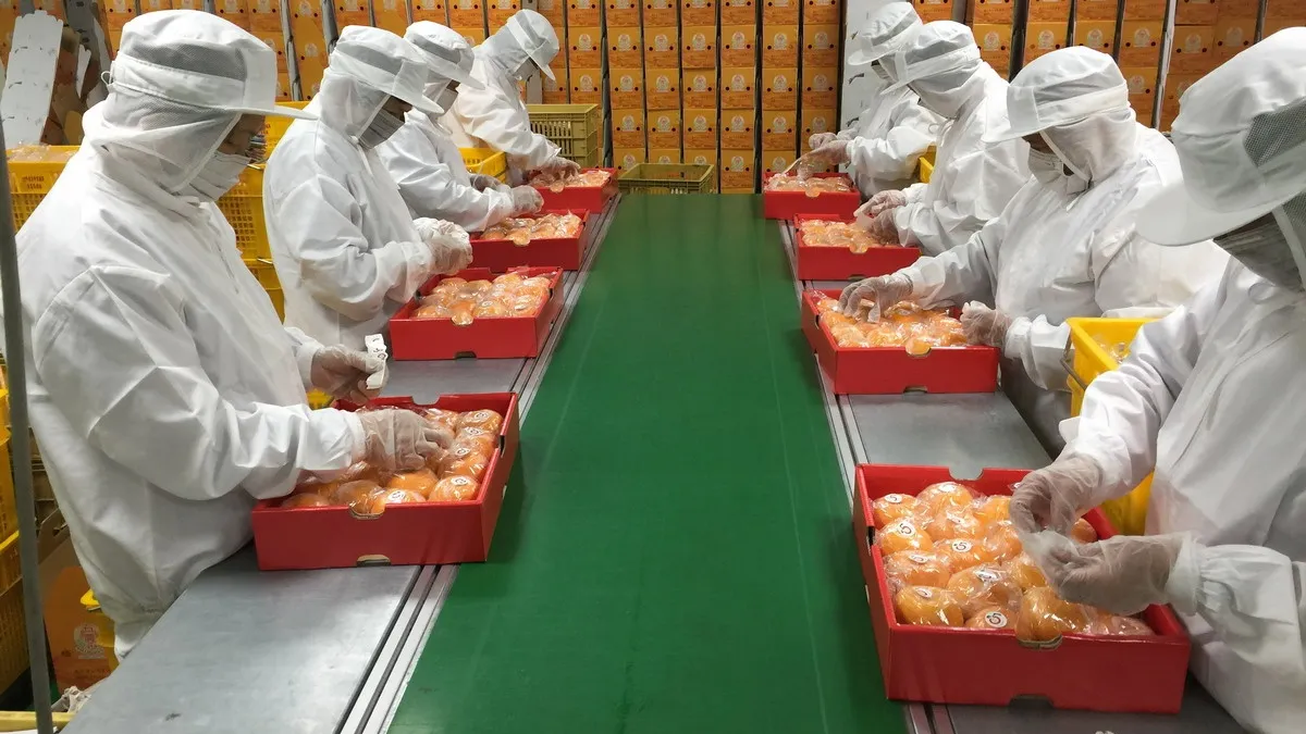因應柑橘外銷東南亞 石岡農會包裝場雙認證